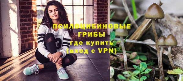 прущие крисы Арсеньев