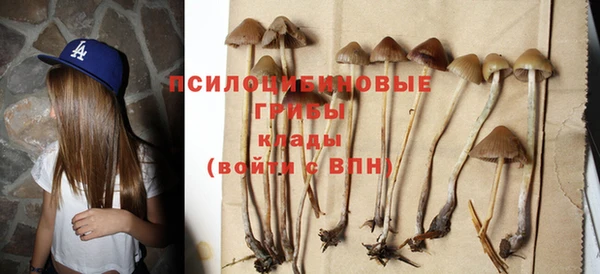 прущие крисы Арсеньев
