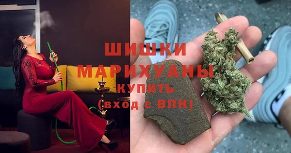 прущие крисы Арсеньев
