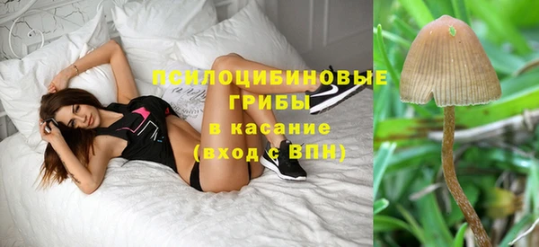 прущие крисы Арсеньев