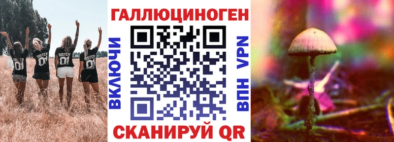 купить наркотики сайты  Татарск  Галлюциногенные грибы мицелий 